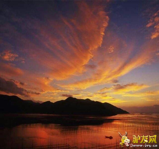 滩涂.jpg