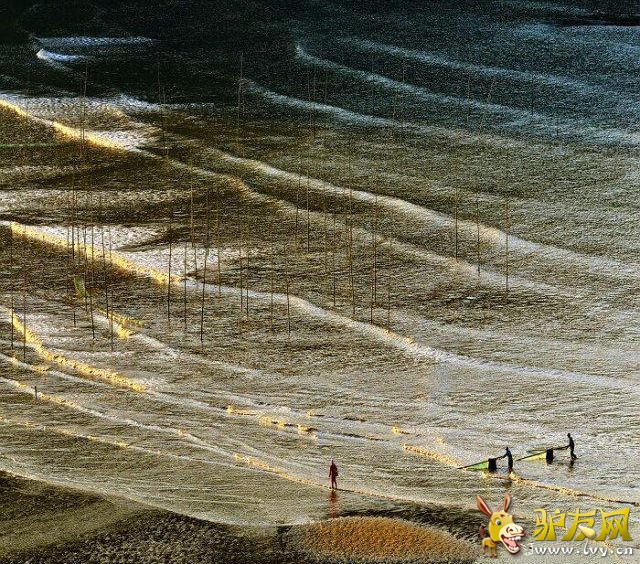 滩涂1.jpg